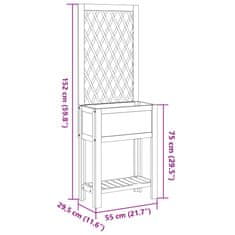 Vidaxl Truhlík s treláží a policí 55 x 29,5 x 152 cm masivní akácie