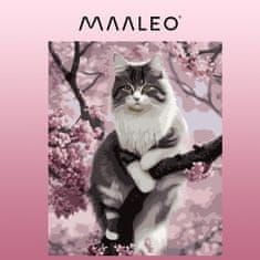 Maaleo Malování podle čísel 40x50cm - kotě Maaleo 22783 
