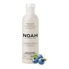 NOAH® Noah Arandanos Anti-Amarillo Mascarilla Capilar 250ml 