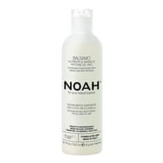 NOAH® Noah Nutritivo Mango Acondicionador 250ml 