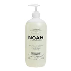 NOAH® Noah Aceite De Argan Champu Regenerante 1000ml 