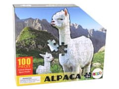 shumee Puzzle 100 kusů Bílé alpaky Motiv zvířat