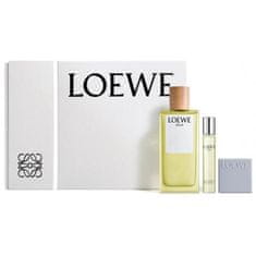 Loewe Loewe Agua Eau Toilette 100ml Spray 15ml 