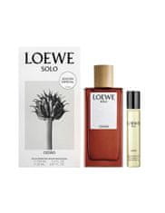 Loewe Solo Loewe Cedro et 100 Vap 20ml Cof 