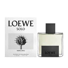Loewe Loewe Solo Mercurio Edp Spray 100ml 