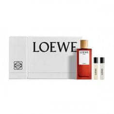 Loewe Loewe Set Solo Cedro Edt 100ml Mini 10ml S Mercu 10ml@ 