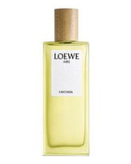 Loewe Loewe Aire Fantasia Eau De Toilette 100ml Spray 