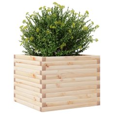 Petromila Zahradní truhlík 60 x 60 x 45,5 cm masivní borové dřevo