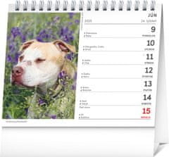 Grooters NOTIQUE Stolový kalendár Psy – s menami psov 2025, 16,5 x 13 cm