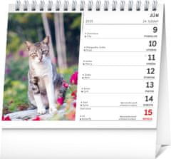 Grooters NOTIQUE Stolový kalendár Mačky – s menami mačiek 2025, 16,5 x 13 cm