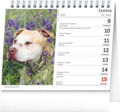 Presco Publishing NOTIQUE Stolní kalendář Psi – se jmény psů 2025, 16,5 x 13 cm