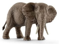 Schleich Wild Life 14761 Slon africký - samice