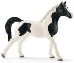 Schleich Horse Club 13840 Kůň Pinto Arab - hřebec