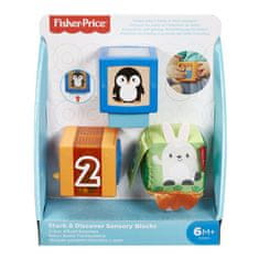 Fisher-Price Fisher Price KOSTKY PRO ROZVOJ SMYSLŮ