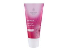 Weleda Weleda - Wild Rose Smoothing Day - For Women, 30 ml 