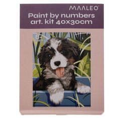 Maaleo Malba podle čísel Pes na dřevěném rámu, vícebarevná, 40x30 cm, s akrylovými barvami a štětci