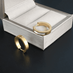 Camerazar Pozlacené kulaté náušnice z chirurgické oceli ve tvaru zlatých kruhů