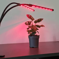 Gardlov LED Lampa pro růst rostlin, 20W, 2 ks, s časovačem a dálkovým ovládáním, vodotěsná