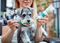 4DOGS Vet's Best Dental Gel + Kartáček Sada Adult