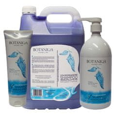 4DOGS Botaniqa Color Enhancing Šampon Rozjasňující 250Ml