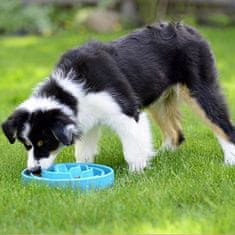 4DOGS Outward Hound Fun Feeder Mini Zpomalovací Miska Tyrkysová [51006]