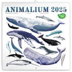 Kalendář 2025 poznámkový: Animalium, 30 × 30 cm