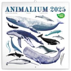 Presco Publishing NOTIQUE Poznámkový kalendář Animalium 2025, 30 x 30 cm