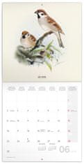 Presco Publishing NOTIQUE Poznámkový kalendář Ptáčci 2025, 30 x 30 cm
