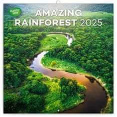 Presco Publishing NOTIQUE Poznámkový kalendář Deštné pralesy 2025, 30 x 30 cm