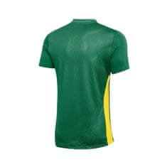 Nike Tričko na trenínk zelené S Dri-fit Park Derby Iv