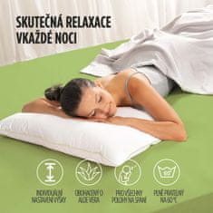 Vitapur AloeVera ClimaFill polštář 50x70