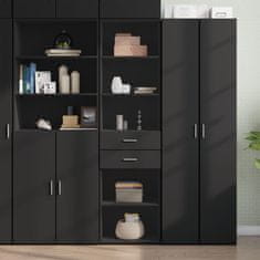 shumee vidaXL Skříň highboard černá 50 x 42,5 x 185 cm kompozitní dřevo