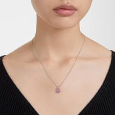Swarovski Slušivý náhrdelník pro ženy narozené v únoru Birthstone 5651708