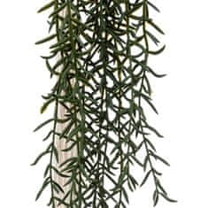 Atmosphera Umělé senecio Ali, 92 cm