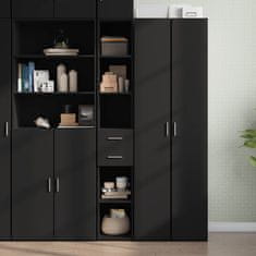 shumee vidaXL Skříň highboard černá 30 x 42,5 x 185 cm kompozitní dřevo