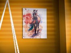 WOWO Malba podle čísel Obrázek koně, rozměry 40x50 cm