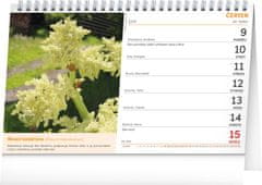 Presco Publishing NOTIQUE Stolní kalendář Přírodní lékárna 2025, 23,1 x 14,5 cm