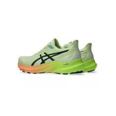 Asics Boty běžecké zelené 41.5 EU Gt-2000