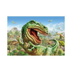 Dino SOUBOJ DINOSAURŮ 2x48 Puzzle