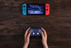 8BitDo 8BitDo Lite SE Purple Edition (Switch/PC/Mac/Android/Rasberry Pi)