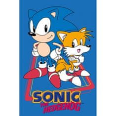 Carbotex Dětský ručník 30/50cm Ježek Sonic, SONIC235025