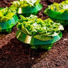 Vixson BIO Ochrana salátu před slimáky a dalšími škůdci, Ochrana salátu proti slimákům, Ochrana salátu a dalších plodin (10ks) | VEGISHIELD