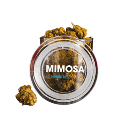 Kratom World Květy Mimosa 10-OH HHC 10% 1g THC do 1%