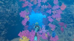 Nintendo Endless Ocean Luminous (SWITCH)