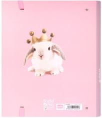 CurePink Kroužkový pořadač se spojovací svorkou Studio Pets: Králící - Rabbits (28 x 32 x 4 cm)