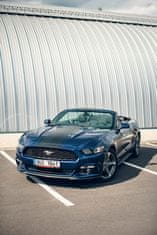 Allegria pronájem Ford Mustang 3,7 V6 Cabrio Teplice