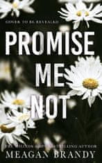 Brandy Meagan: Promise Me Not