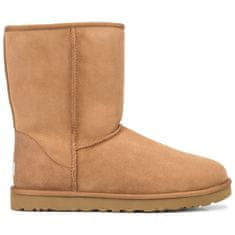 Ugg Australia Pánské kotníková obuv hnědá 