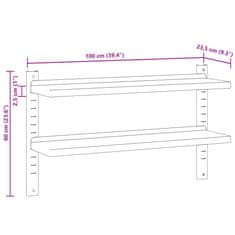 Petromila 2patrová nástěnná police 100x23,5x60 cm stříbrná nerezová ocel
