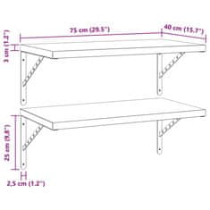 Vidaxl Nástěnné police 2 ks 75 x 40 cm černé nerezová ocel